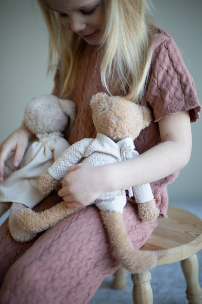 The Little Bear