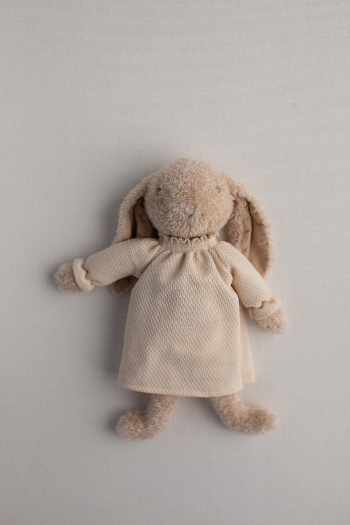 The Little Bunny